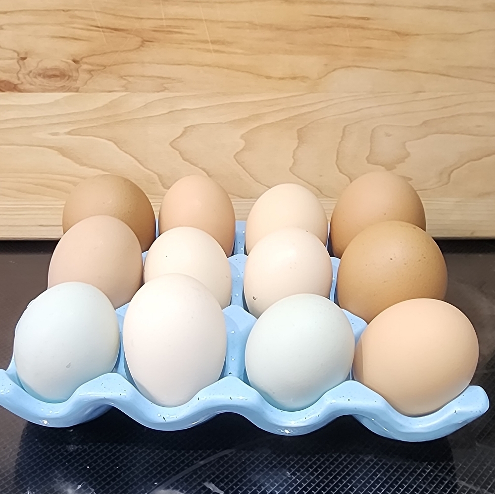 Anthropologie Farmer’s egg crate tiffany robin’s egg blue